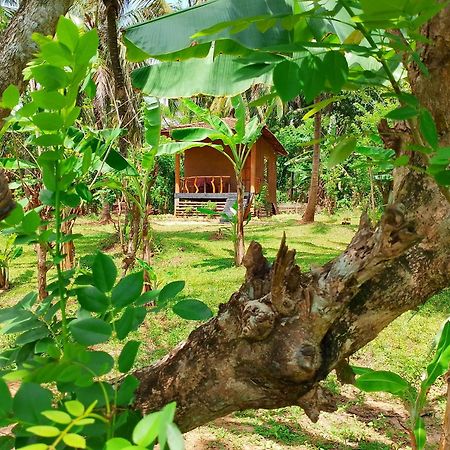 Milk House Cottage Udawalawe Exterior foto